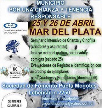 Imagen destacada del artículo «Ciudad de Mar del Plata»